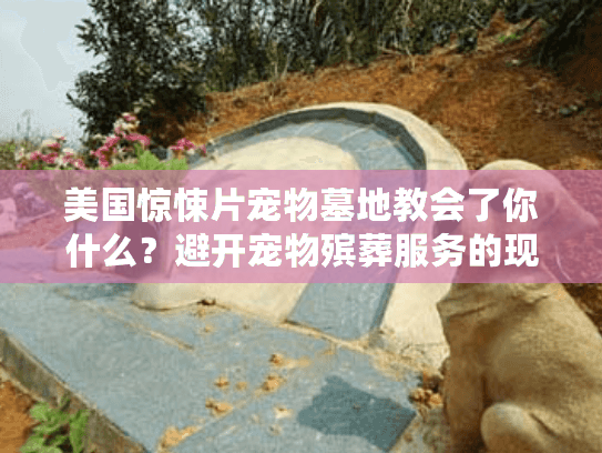 美国惊悚片宠物墓地教会了你什么？避开宠物殡葬服务的现实噩梦陷阱