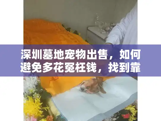 深圳墓地宠物出售，如何避免多花冤枉钱，找到靠谱宠物安葬？