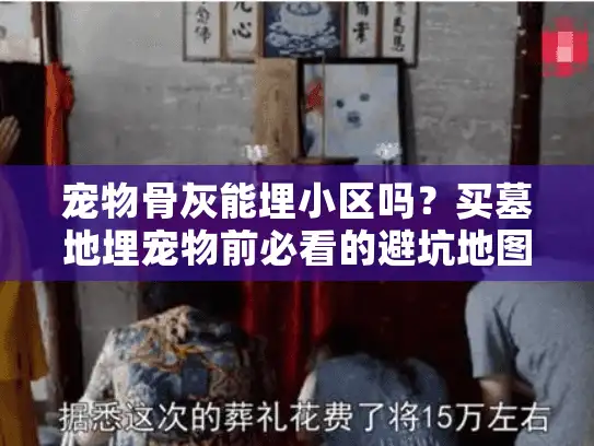 宠物骨灰能埋小区吗？买墓地埋宠物前必看的避坑地图
