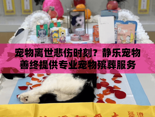 宠物离世悲伤时刻?静乐宠物善终提供专业宠物殡葬服务 宠物离世悲伤时刻?静乐宠物善终提供专业宠物殡葬服务