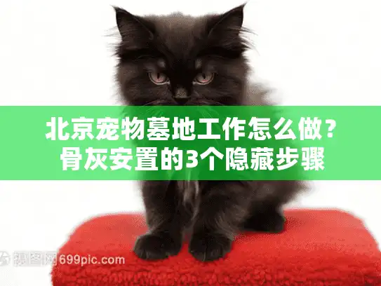 北京宠物墓地工作怎么做?骨灰安置的3个隐藏步骤 北京宠物墓地工作怎么做?骨灰安置的3个隐藏步骤
