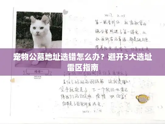 宠物公墓地址选错怎么办？避开3大选址雷区指南