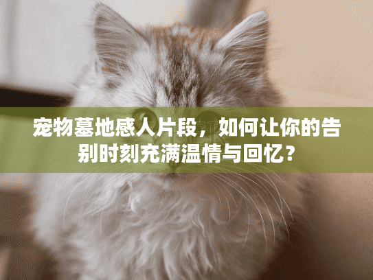 宠物墓地感人片段，如何让你的告别时刻充满温情与回忆？