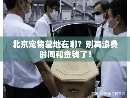 北京宠物墓地在哪？别再浪费时间和金钱了！