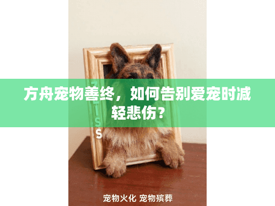 方舟宠物善终，如何告别爱宠时减轻悲伤？