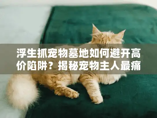 浮生抓宠物墓地如何避开高价陷阱？揭秘宠物主人最痛心的选择难题