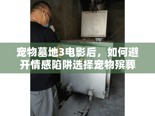 宠物墓地3电影后，如何避开情感陷阱选择宠物殡葬服务？