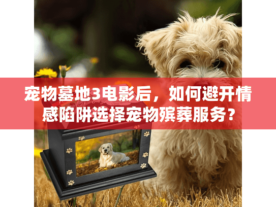 宠物墓地3电影后，如何避开情感陷阱选择宠物殡葬服务？