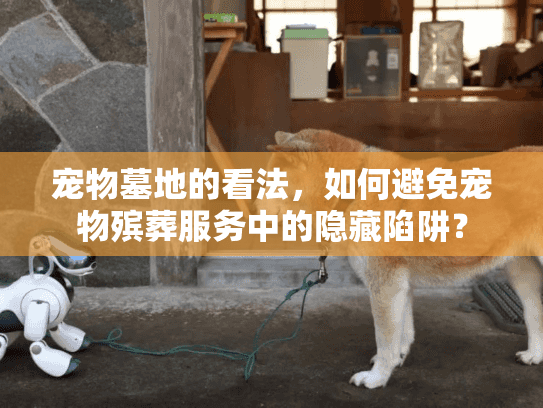 宠物墓地的看法，如何避免宠物殡葬服务中的隐藏陷阱？