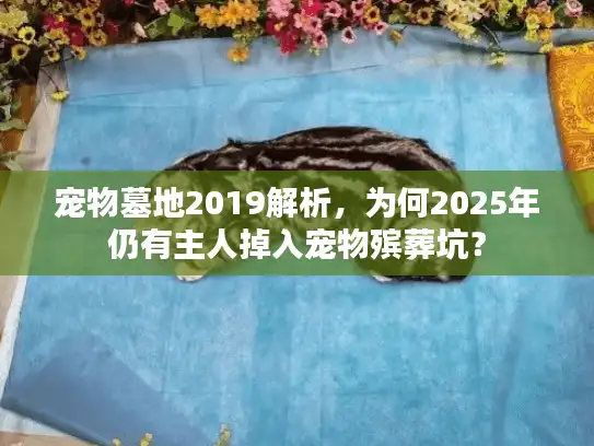 宠物墓地2019解析，为何2025年仍有主人掉入宠物殡葬坑？
