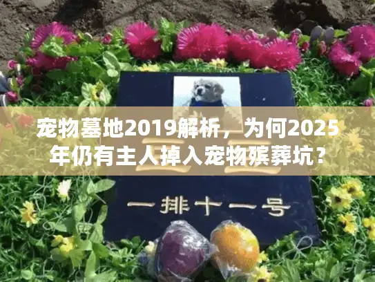 宠物墓地2019解析，为何2025年仍有主人掉入宠物殡葬坑？