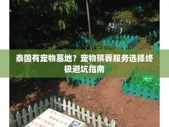 泰国有宠物墓地？宠物殡葬服务选择终极避坑指南
