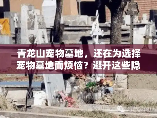 青龙山宠物墓地,还在为选择宠物墓地而烦恼?避开这些隐藏陷阱! 青龙山宠物墓地,还在为选择宠物墓地而烦恼?避开这些隐藏陷阱!