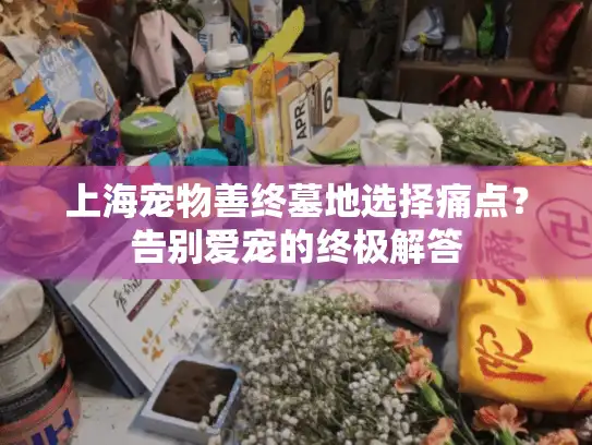 上海宠物善终墓地选择痛点？告别爱宠的终极解答