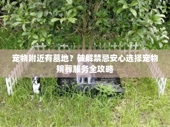宠物附近有墓地?破解禁忌安心选择宠物殡葬服务全攻略 宠物附近有墓地?破解禁忌安心选择宠物殡葬服务全攻略