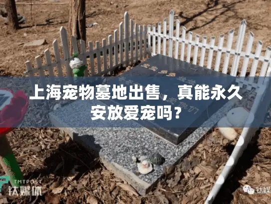 上海宠物墓地出售，真能永久安放爱宠吗？