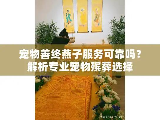 宠物善终燕子服务可靠吗?解析专业宠物殡葬选择 宠物善终燕子服务可靠吗?解析专业宠物殡葬选择