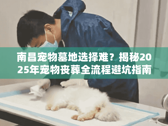 南昌宠物墓地选择难？揭秘2025年宠物丧葬全流程避坑指南