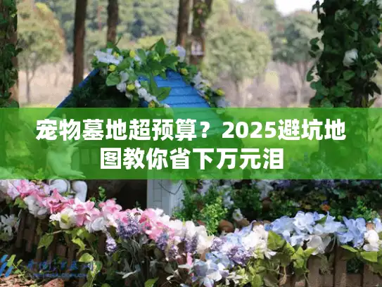 宠物墓地超预算？2025避坑地图教你省下万元泪