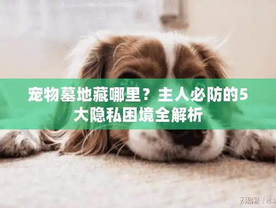 宠物墓地藏哪里？主人必防的5大隐私困境全解析
