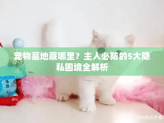 宠物墓地藏哪里？主人必防的5大隐私困境全解析