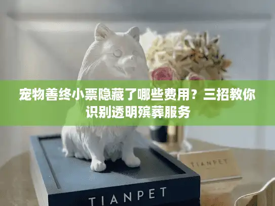 宠物善终小票隐藏了哪些费用？三招教你识别透明殡葬服务