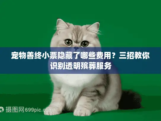 宠物善终小票隐藏了哪些费用？三招教你识别透明殡葬服务