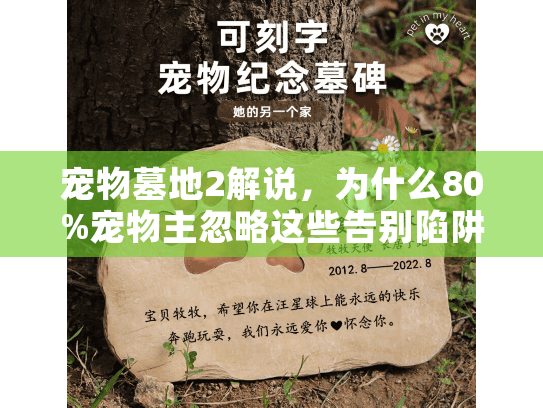 宠物墓地2解说，为什么80%宠物主忽略这些告别陷阱？