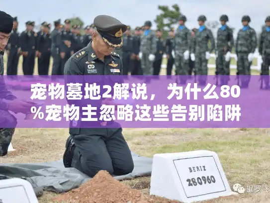 宠物墓地2解说，为什么80%宠物主忽略这些告别陷阱？