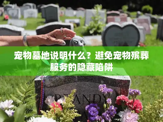 宠物墓地说明什么？避免宠物殡葬服务的隐藏陷阱