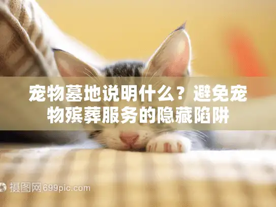 宠物墓地说明什么？避免宠物殡葬服务的隐藏陷阱