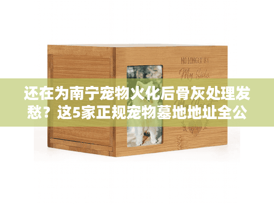 还在为南宁宠物火化后骨灰处理发愁？这5家正规宠物墓地地址全公开