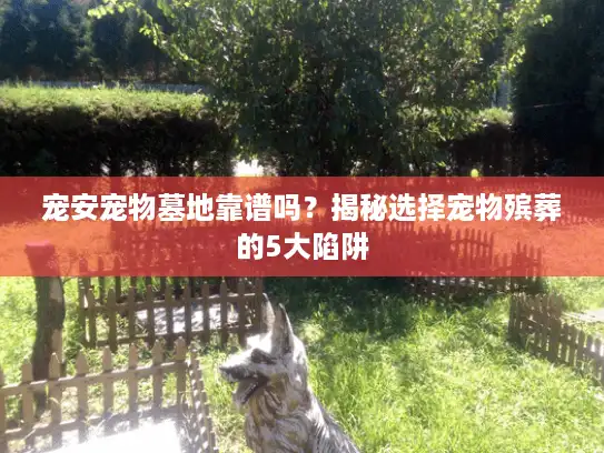 宠安宠物墓地靠谱吗？揭秘选择宠物殡葬的5大陷阱