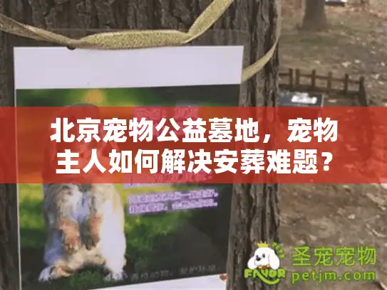 北京宠物公益墓地，宠物主人如何解决安葬难题？