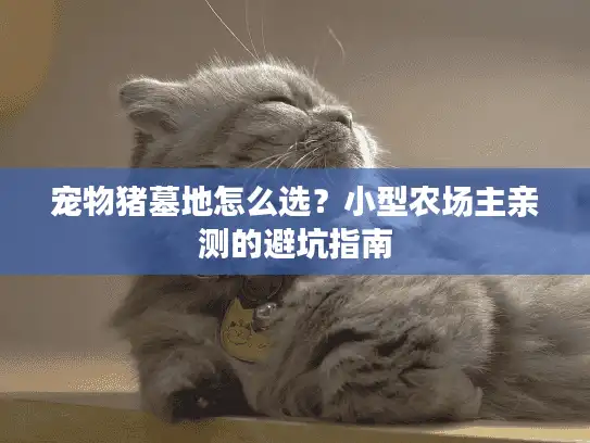 宠物猪墓地怎么选？小型农场主亲测的避坑指南