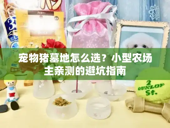 宠物猪墓地怎么选？小型农场主亲测的避坑指南