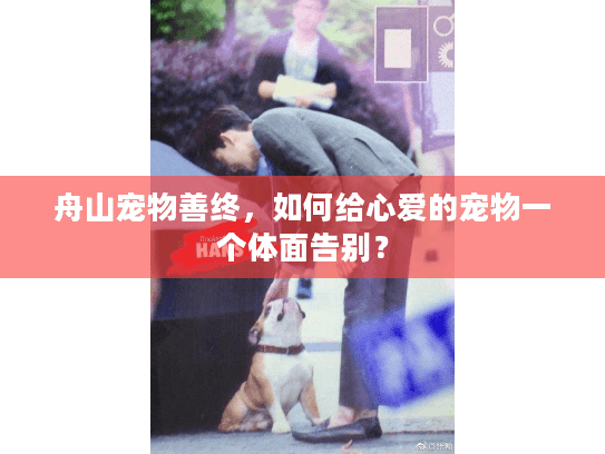 舟山宠物善终，如何给心爱的宠物一个体面告别？