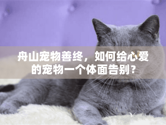 舟山宠物善终，如何给心爱的宠物一个体面告别？