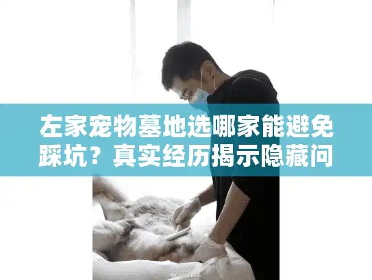 左家宠物墓地选哪家能避免踩坑？真实经历揭示隐藏问题