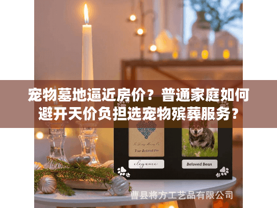 宠物墓地逼近房价？普通家庭如何避开天价负担选宠物殡葬服务？