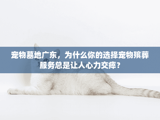 宠物墓地广东，为什么你的选择宠物殡葬服务总是让人心力交瘁？