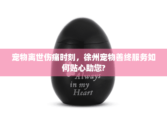 宠物离世伤痛时刻,徐州宠物善终服务如何贴心助您? 宠物离世伤痛时刻,徐州宠物善终服务如何贴心助您?