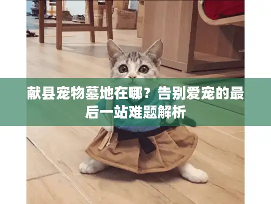 献县宠物墓地在哪？告别爱宠的最后一站难题解析