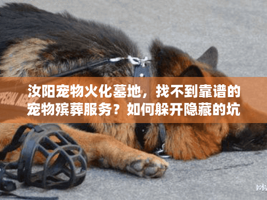 汝阳宠物火化墓地,找不到靠谱的宠物殡葬服务?如何躲开隐藏的坑? 汝阳宠物火化墓地,找不到靠谱的宠物殡葬服务?如何躲开隐藏的坑?