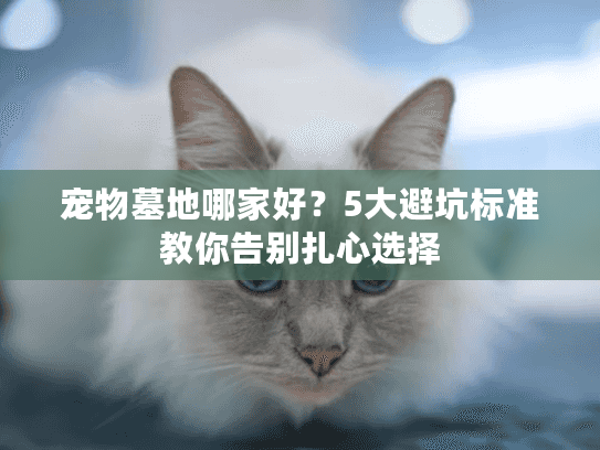 宠物墓地哪家好?5大避坑标准教你告别扎心选择 宠物墓地哪家好?5大避坑标准教你告别扎心选择
