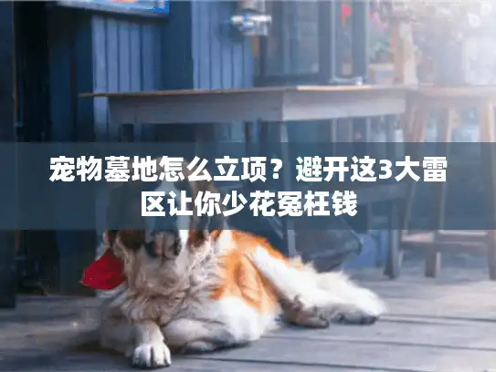 宠物墓地怎么立项?避开这3大雷区让你少花冤枉钱 宠物墓地怎么立项?避开这3大雷区让你少花冤枉钱