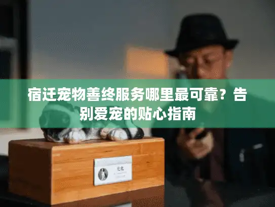 宿迁宠物善终服务哪里最可靠?告别爱宠的贴心指南 宿迁宠物善终服务哪里最可靠?告别爱宠的贴心指南