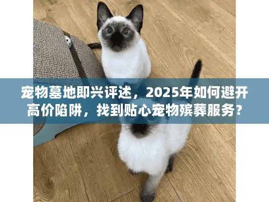 宠物墓地即兴评述，2025年如何避开高价陷阱，找到贴心宠物殡葬服务？