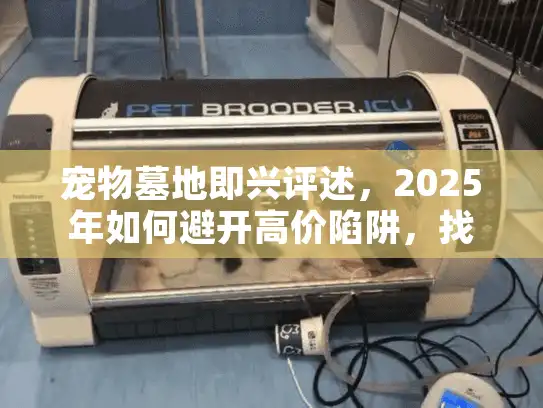 宠物墓地即兴评述，2025年如何避开高价陷阱，找到贴心宠物殡葬服务？