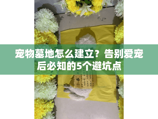 宠物墓地怎么建立？告别爱宠后必知的5个避坑点